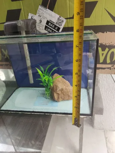 Aquário 5 litros completo