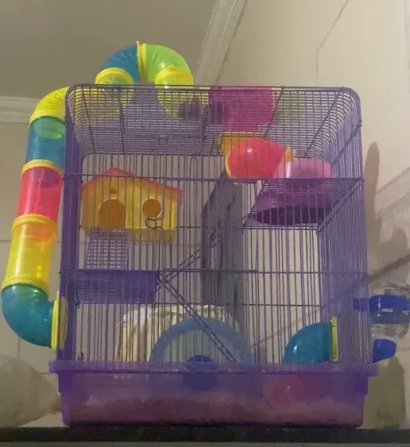 Gaiola pra hamster com hamster