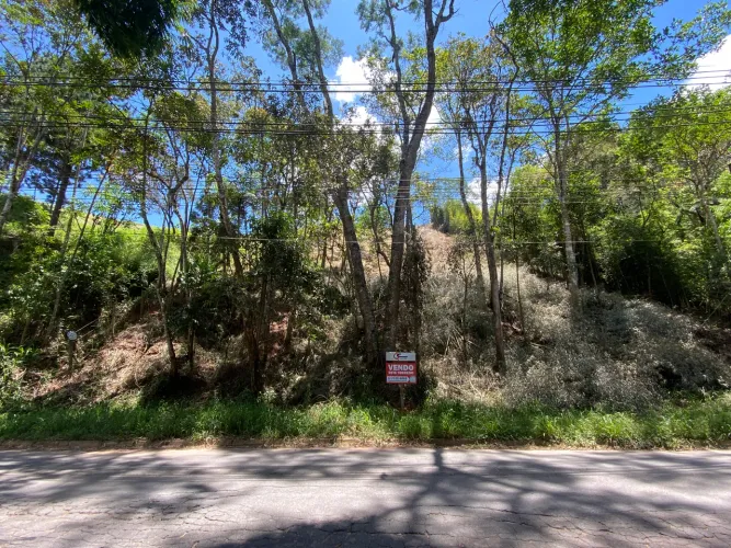 Terreno com 2 mil m², poucas árvores, em aclive, à venda no alto das Braunes, Nova Friburg