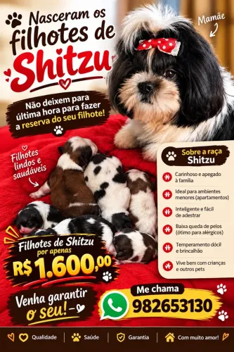 Shitzu