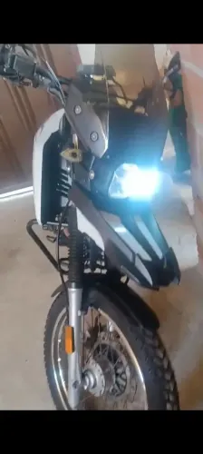 Moto SHINERAY SHI 175 cc CARBURADA 2024