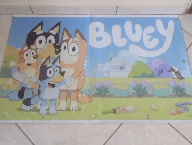 Bluey mural aniversário...