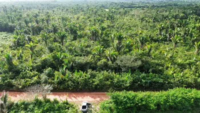 TERRENO NA ESTRADA DO GUANARÉ 