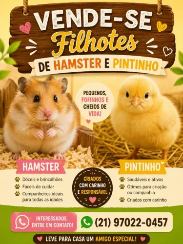 Hamster, galinhas e pintinhos da fazenda