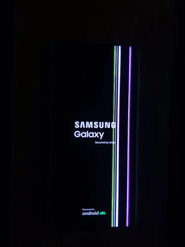 S21 Display Original