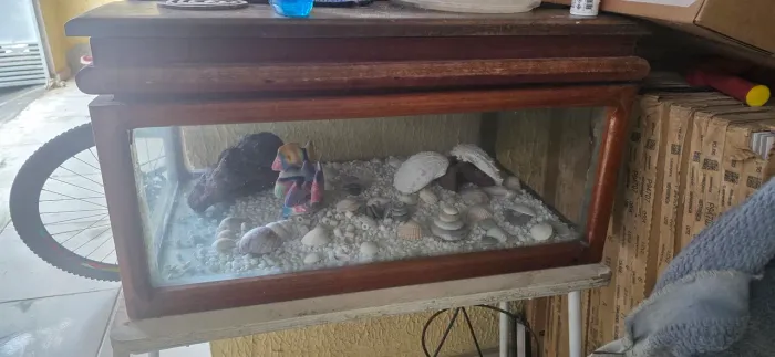 Vendo Aquário de mesa