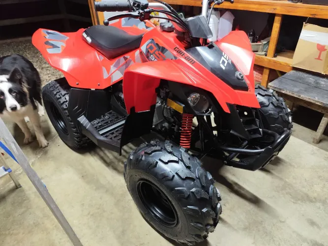 Quadriciclo Can Am DS 90cc