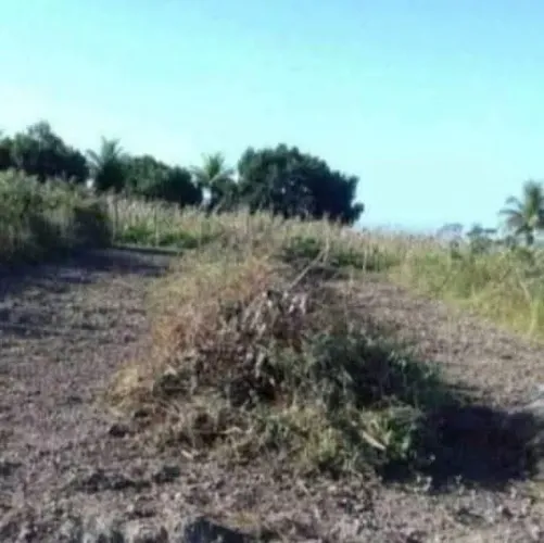 Vendo Terreno em Salgado