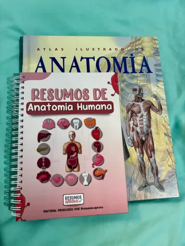 Livro Atlas Ilustrado de Anatomia + Caderno de Resumos (Brinde)