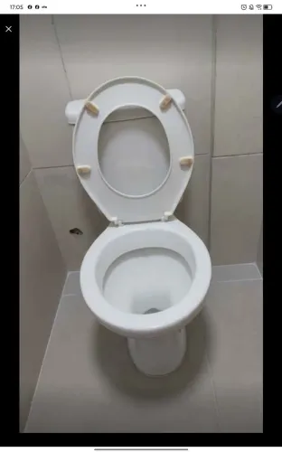 Caso Sanitário Celite com caixa acoplada - branco