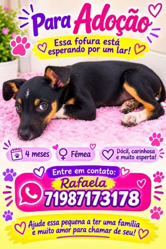 Cachorrinha filhote