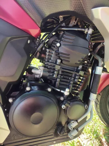 FZ25 - Em dias!