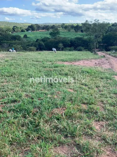 Fazenda premium à venda em Curimataí (Arraial) Buenópolis/MG