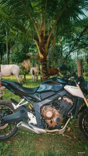 Cb650r
