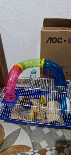 Gaiola pra hamister completa.