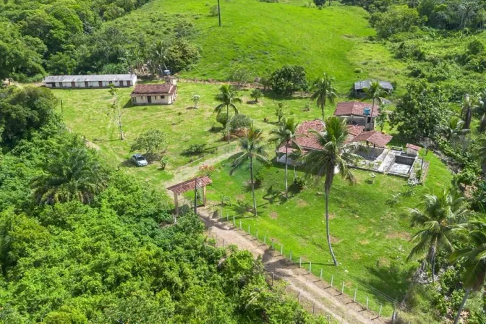 Fazenda 25 tarefas à venda na região Areal em Nazaré - BA