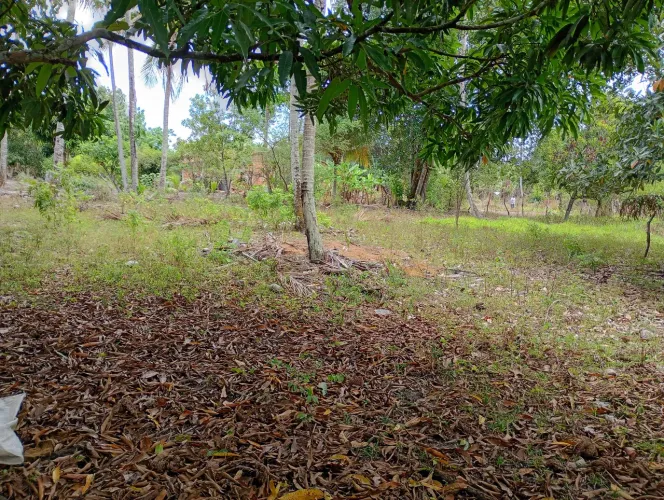 Sítio povoado campos Itaporanga