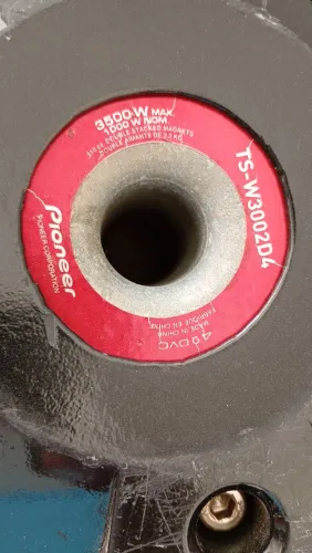 Pioneer 12 1000rms