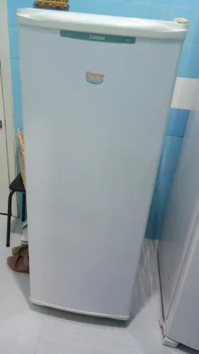 Freezer vertical