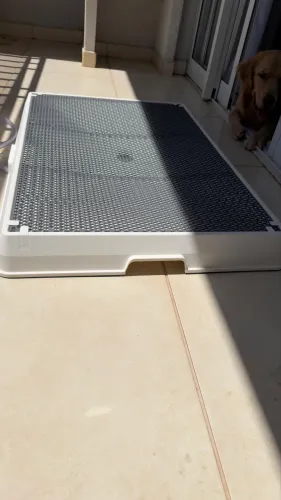 Weasy dog banheiro para cachorro