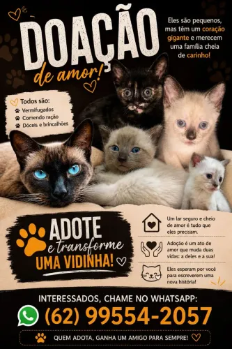 Doação de amor