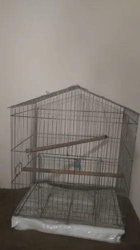 Gaiola para calopsitas e agapornis