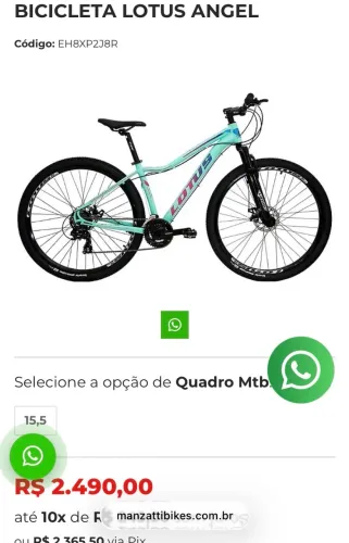 Bicicleta lótus quadro 15