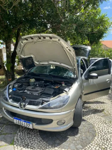 Peugeot 206 Presence 1.4/ 1.4 Flex 8V 5P 2008