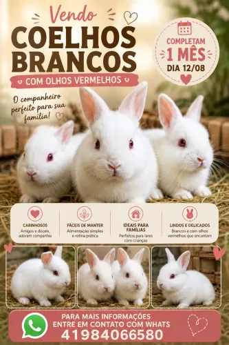 Coelhos