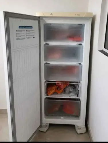 Freezer Vertical 