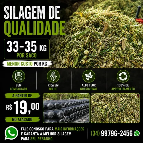 Silagem ensacada saco de 33 a 35kg