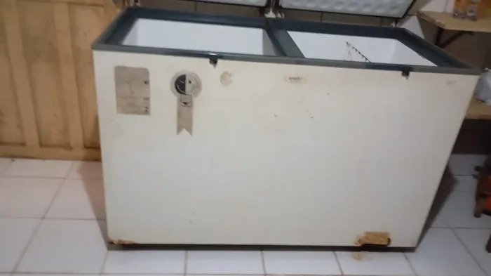 Frizzer de 2 porta