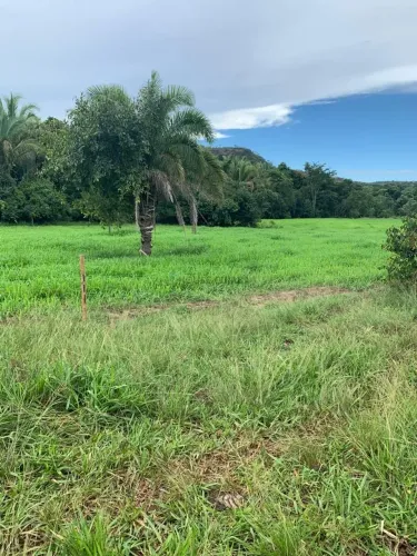 Propriedade Rural à venda em Rondonópolis MT