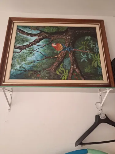 Vendo quadros decorativos