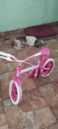 Bicicleta infantil 