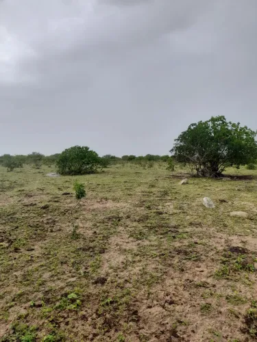 Vendo 100 Tarefas de Terra