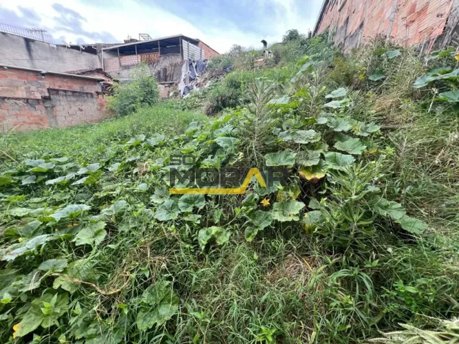 LOTE À VENDA NO MINASLANDIA - BH