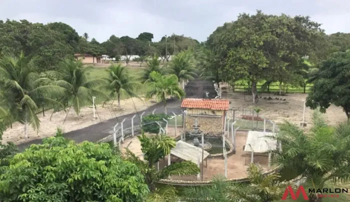 Fazenda em Macaiba, com casa sede, casa do caseiro, área gourmet, poço artesiano, 8,5 hect