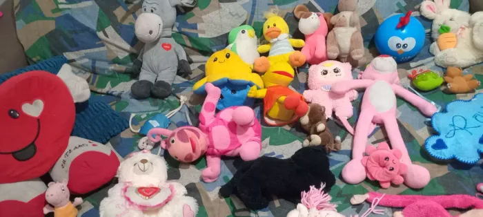 Lote de urso