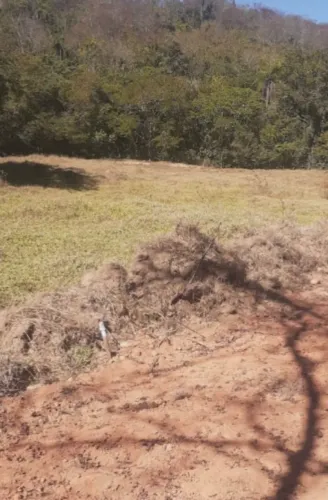 Vendo excelente lote em Ravena 1.600 m
