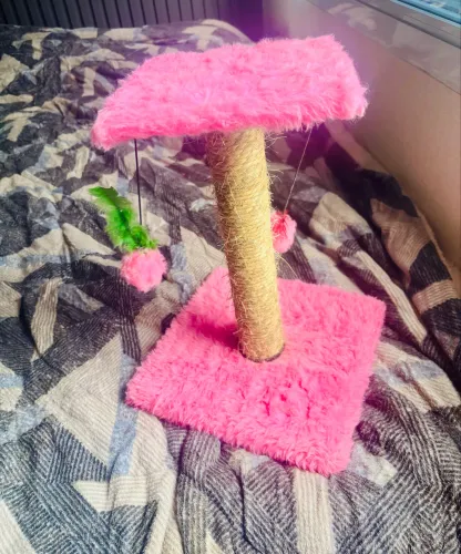 Arranhador para gatos