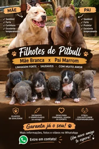Vende-se Pitbull