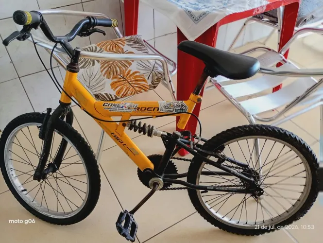 Bicicleta