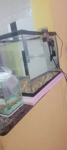 Vendo 2 Aquários um de 50 litros e 1 de 20 litros