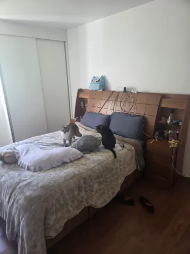 Cama / baú