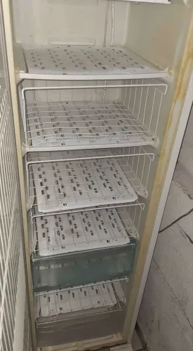 Freezer Electrolux