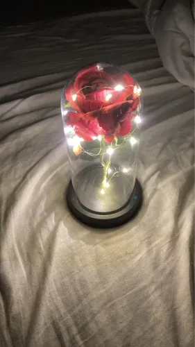 Rosa Vermelha em Cúpula com Luzes