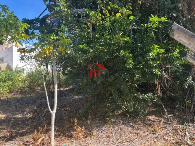 Terreno à venda no bairro Castelo em Belo Horizonte/MG