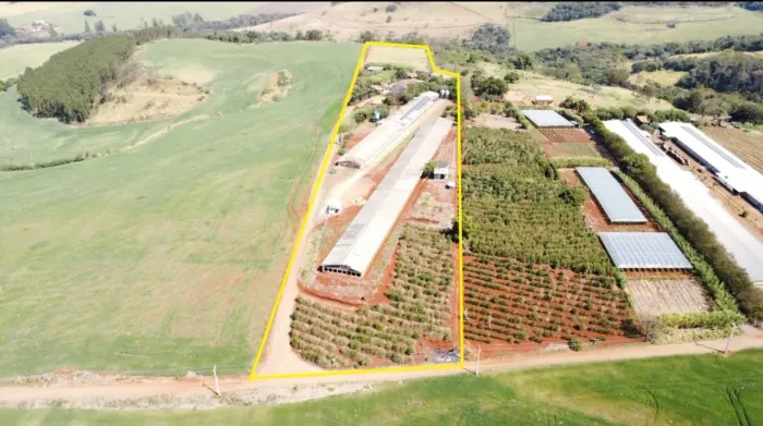 Aviário Completo à Venda no Paraná | Estrutura Moderna e Renda Diversificada