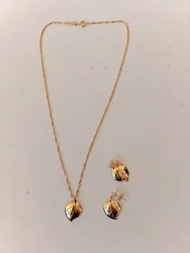 Conjunto de joia